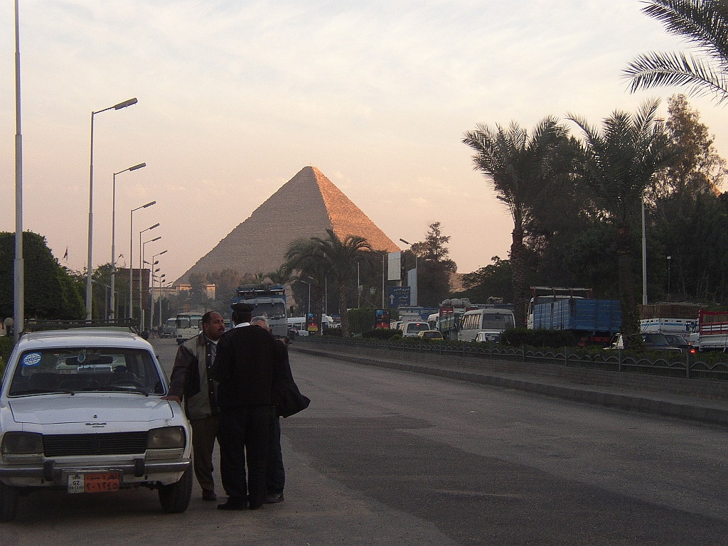 Lupo Egitto 006